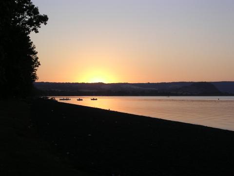DSCN0965